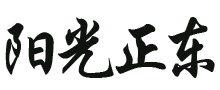 北京阳光正东科技有限公司